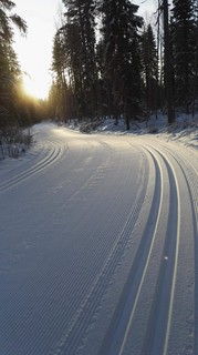 Kuva hiihtoladusta talvisessa metsämaisemassa
