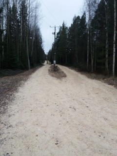 Kuva pururadasta metsän keskellä